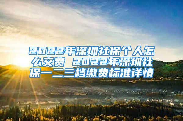 2022年深圳社保個人怎么交費 2022年深圳社保一二三檔繳費標準詳情