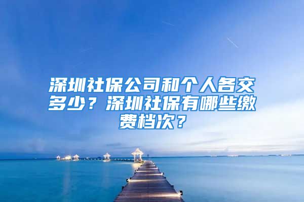 深圳社保公司和個(gè)人各交多少？深圳社保有哪些繳費(fèi)檔次？