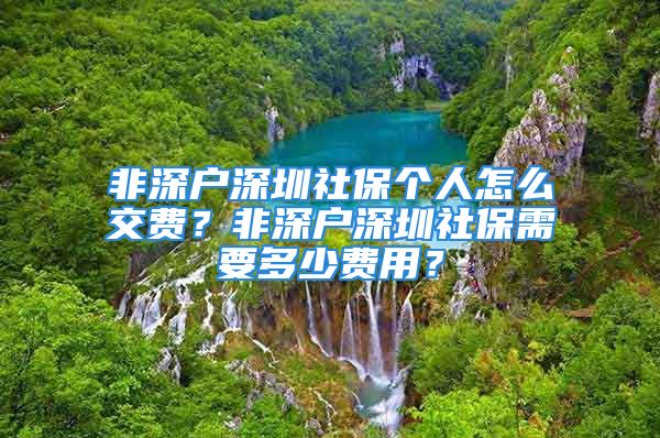 非深戶深圳社保個人怎么交費？非深戶深圳社保需要多少費用？