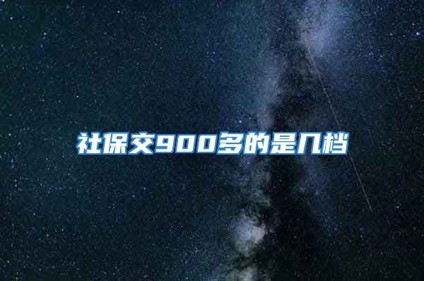 社保交900多的是幾檔