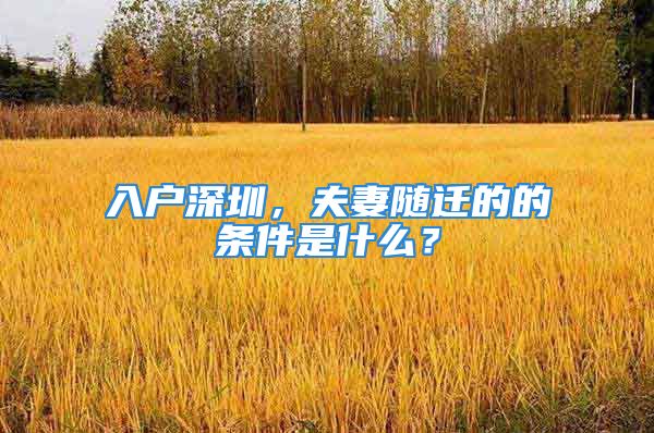 入戶深圳，夫妻隨遷的的條件是什么？