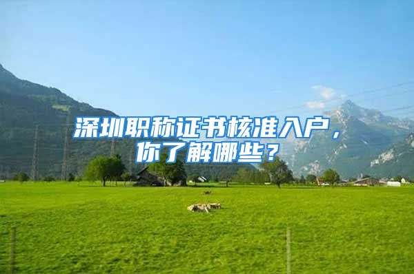 深圳職稱證書核準(zhǔn)入戶，你了解哪些？