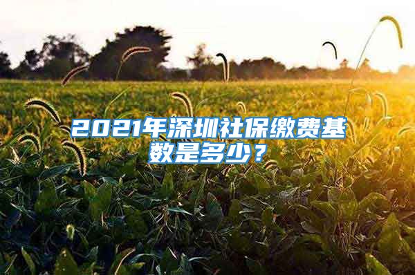 2021年深圳社保繳費(fèi)基數(shù)是多少？