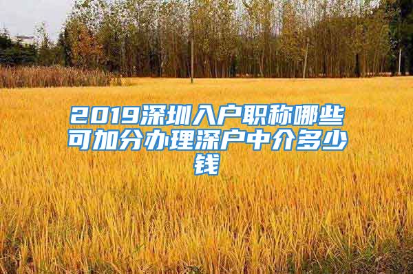 2019深圳入戶職稱哪些可加分辦理深戶中介多少錢