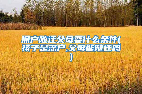 深戶隨遷父母要什么條件(孩子是深戶,父母能隨遷嗎)