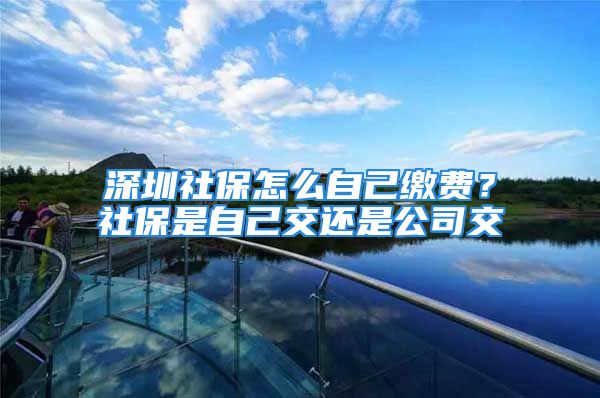 深圳社保怎么自己繳費(fèi)？社保是自己交還是公司交