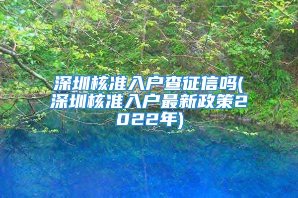 深圳核準入戶查征信嗎(深圳核準入戶最新政策2022年)