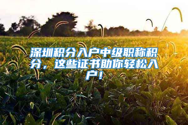 深圳積分入戶中級職稱積分，這些證書助你輕松入戶！