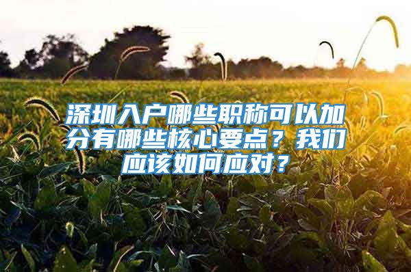 深圳入戶哪些職稱可以加分有哪些核心要點(diǎn)？我們應(yīng)該如何應(yīng)對？