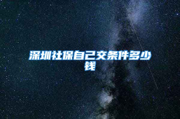 深圳社保自己交條件多少錢