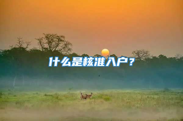 什么是核準(zhǔn)入戶？