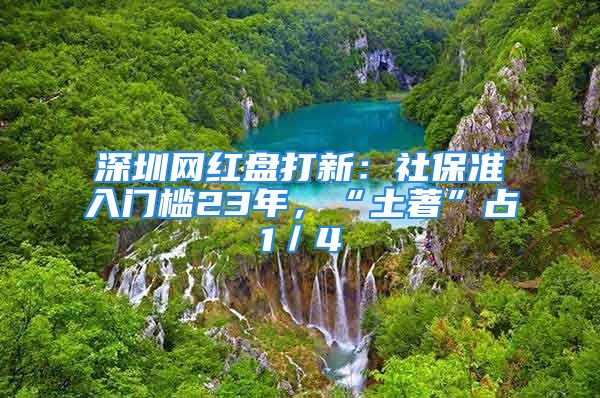 深圳網(wǎng)紅盤打新：社保準入門檻23年，“土著”占1／4