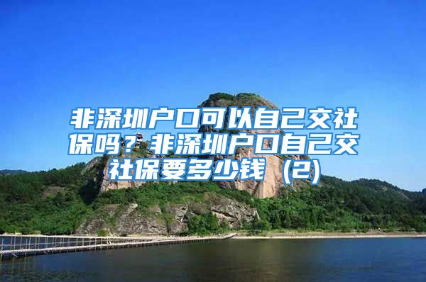 非深圳戶口可以自己交社保嗎？非深圳戶口自己交社保要多少錢 (2)