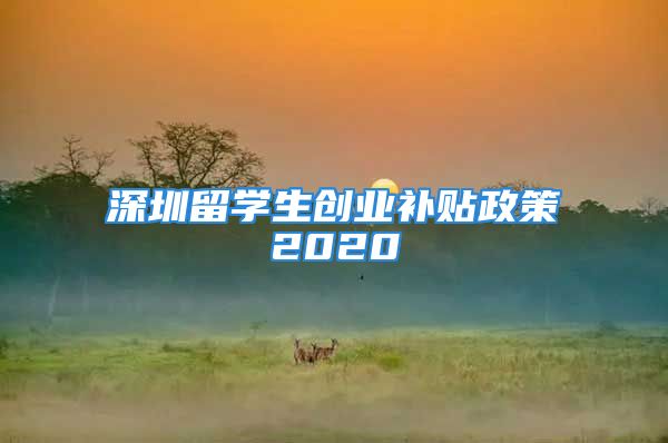 深圳留學生創(chuàng)業(yè)補貼政策2020