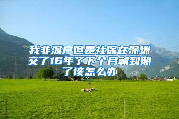 我非深戶但是社保在深圳交了16年了下個月就到期了該怎么辦