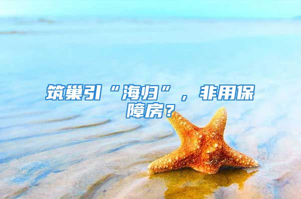 筑巢引“海歸”，非用保障房？