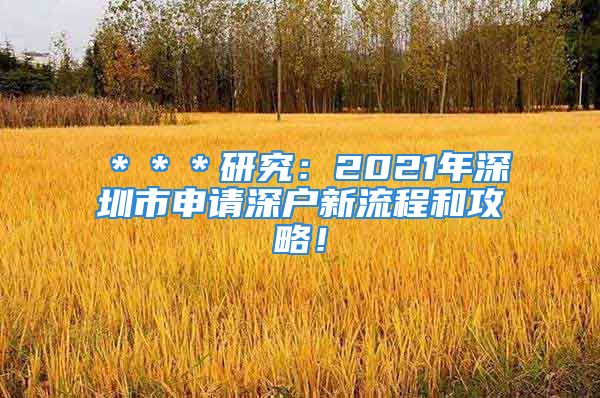 ＊＊＊研究：2021年深圳市申請深戶新流程和攻略！