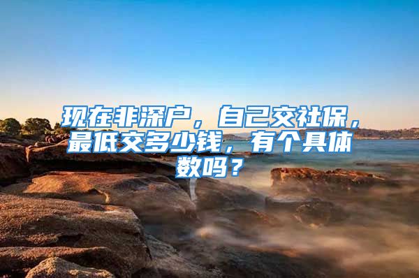 現(xiàn)在非深戶，自己交社保，最低交多少錢，有個(gè)具體數(shù)嗎？