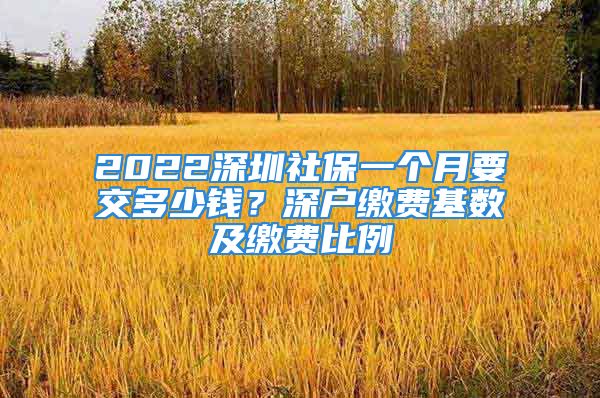 2022深圳社保一個月要交多少錢？深戶繳費基數(shù)及繳費比例