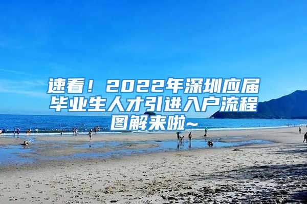 速看！2022年深圳應屆畢業(yè)生人才引進入戶流程圖解來啦~