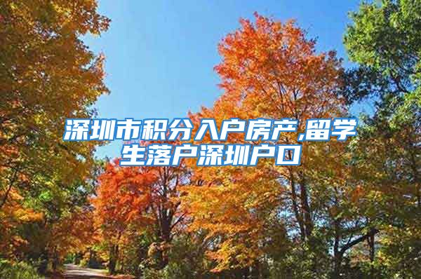 深圳市積分入戶房產,留學生落戶深圳戶口