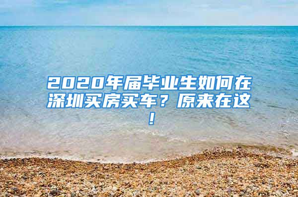 2020年屆畢業(yè)生如何在深圳買房買車？原來在這！