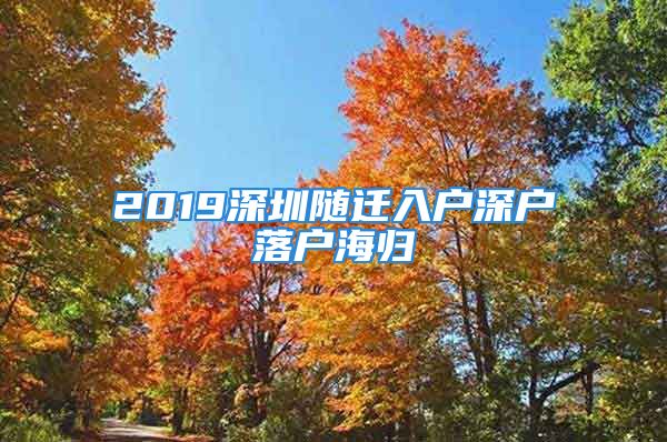 2019深圳隨遷入戶深戶落戶海歸