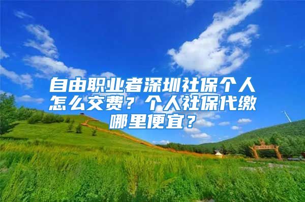 自由職業(yè)者深圳社保個人怎么交費？個人社保代繳哪里便宜？