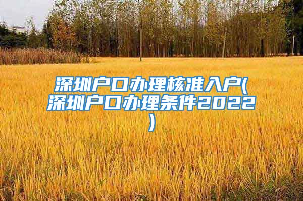 深圳戶口辦理核準(zhǔn)入戶(深圳戶口辦理條件2022)