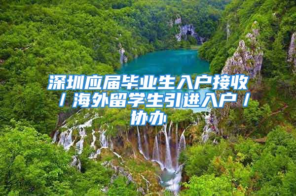 深圳應(yīng)屆畢業(yè)生入戶接收／海外留學(xué)生引進(jìn)入戶／協(xié)辦