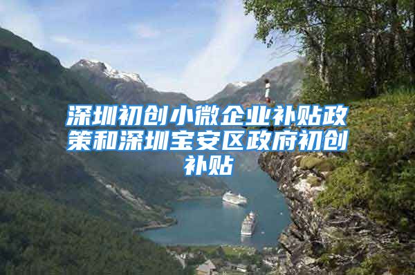 深圳初創(chuàng)小微企業(yè)補(bǔ)貼政策和深圳寶安區(qū)政府初創(chuàng)補(bǔ)貼