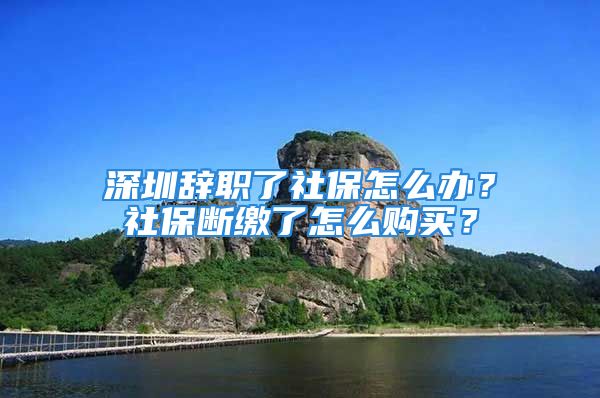 深圳辭職了社保怎么辦？社保斷繳了怎么購買？