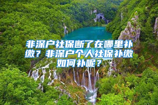 非深戶社保斷了在哪里補(bǔ)繳？非深戶個人社保補(bǔ)繳如何補(bǔ)呢？