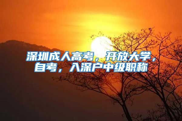 深圳成人高考，開放大學(xué)，自考，入深戶中級(jí)職稱