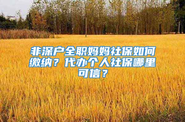 非深戶(hù)全職媽媽社保如何繳納？代辦個(gè)人社保哪里可信？