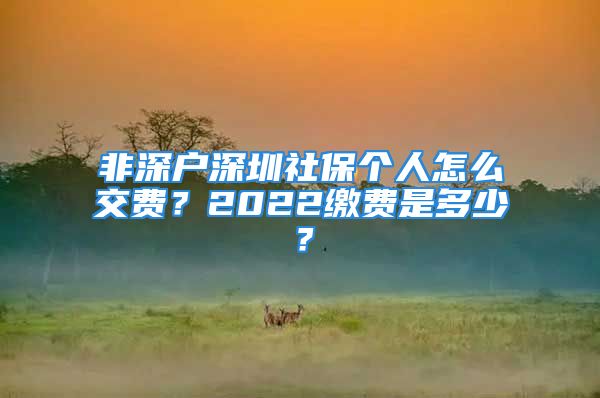 非深戶深圳社保個(gè)人怎么交費(fèi)？2022繳費(fèi)是多少？