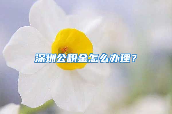 深圳公積金怎么辦理？