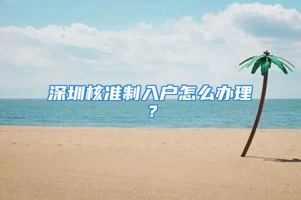 深圳核準(zhǔn)制入戶怎么辦理？