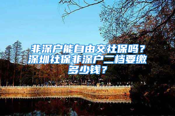 非深戶能自由交社保嗎？深圳社保非深戶二檔要繳多少錢？