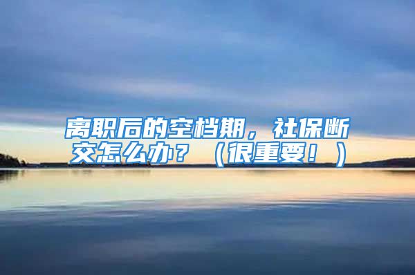 離職后的空檔期，社保斷交怎么辦？（很重要！）