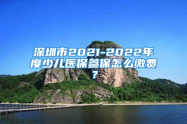 深圳市2021-2022年度少兒醫(yī)保參保怎么繳費？