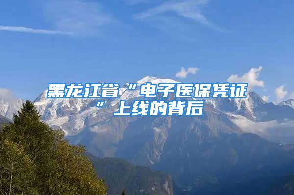 黑龍江省“電子醫(yī)保憑證”上線的背后