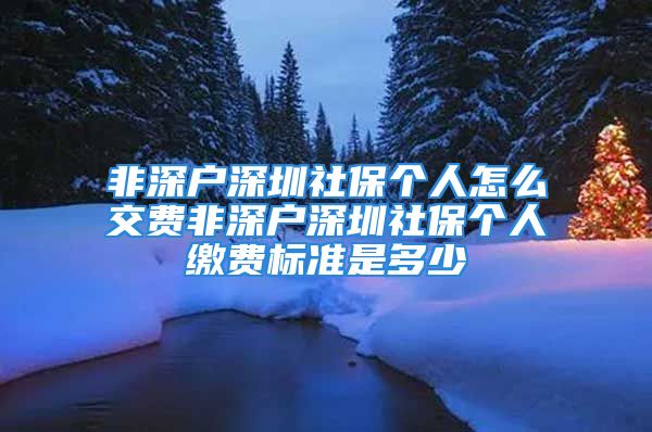 非深戶深圳社保個(gè)人怎么交費(fèi)非深戶深圳社保個(gè)人繳費(fèi)標(biāo)準(zhǔn)是多少