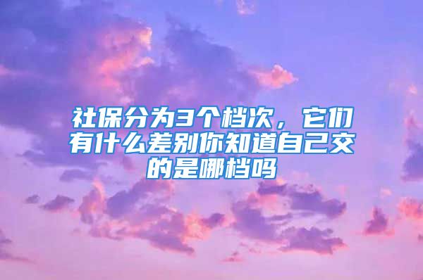 社保分為3個檔次，它們有什么差別你知道自己交的是哪檔嗎