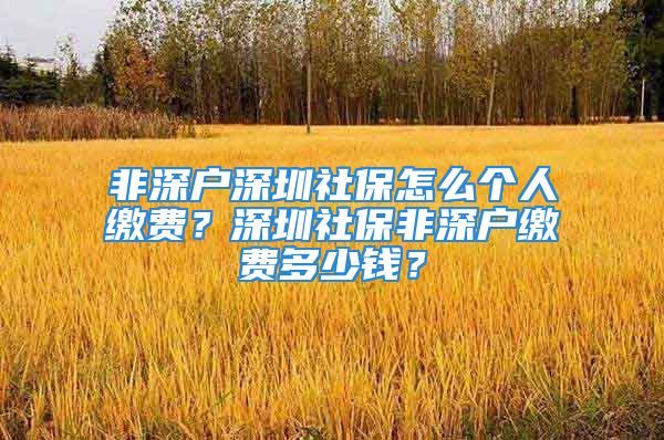 非深戶深圳社保怎么個(gè)人繳費(fèi)？深圳社保非深戶繳費(fèi)多少錢？