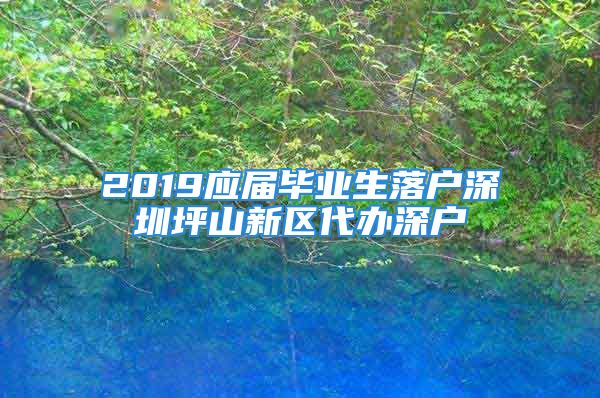 2019應(yīng)屆畢業(yè)生落戶深圳坪山新區(qū)代辦深戶