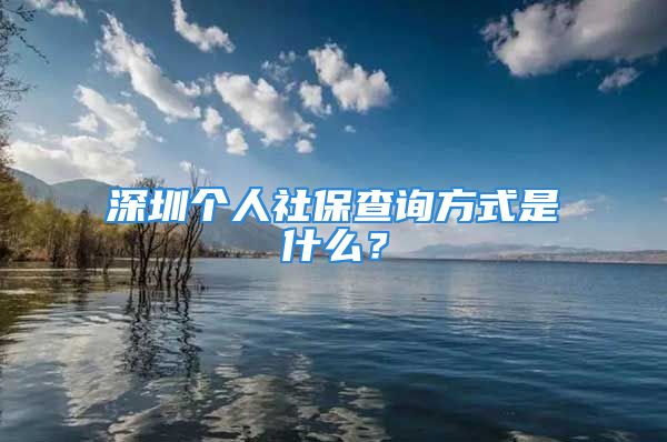 深圳個(gè)人社保查詢方式是什么？