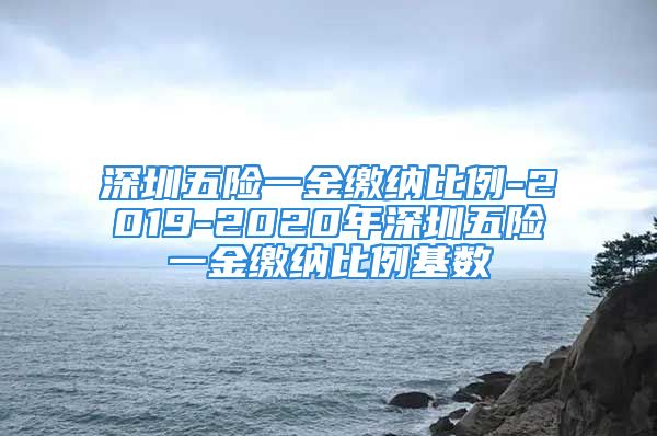 深圳五險(xiǎn)一金繳納比例-2019-2020年深圳五險(xiǎn)一金繳納比例基數(shù)