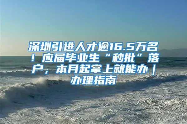 深圳引進(jìn)人才逾16.5萬名！應(yīng)屆畢業(yè)生“秒批”落戶，本月起掌上就能辦｜辦理指南