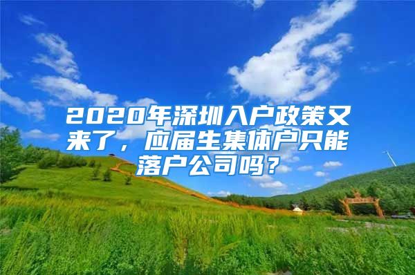 2020年深圳入戶政策又來了，應(yīng)屆生集體戶只能落戶公司嗎？